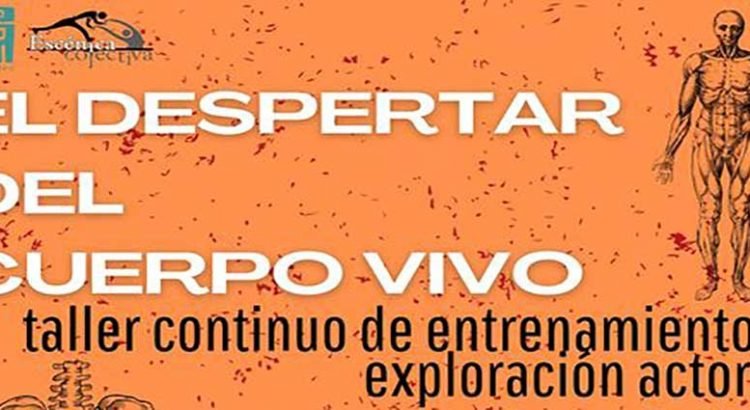 Deja despertar a tu cuerpo