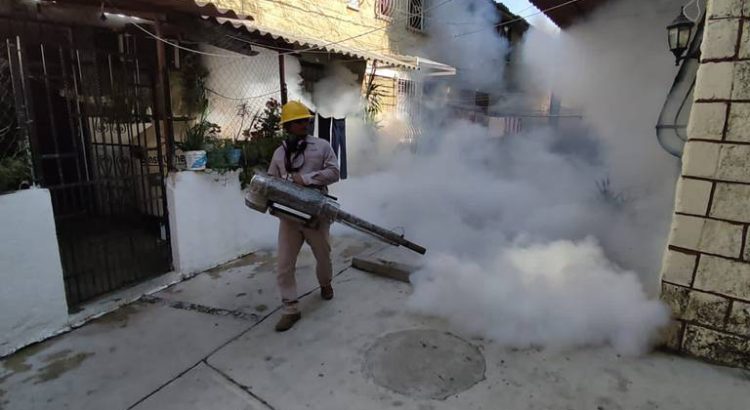 Reportan 10 muertos y más de 15 mil casos de dengue en Guerrero