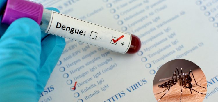 Aumentan casos de dengue en menores de 15 años