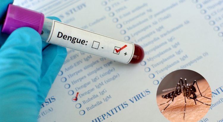 Aumentan casos de dengue en menores de 15 años