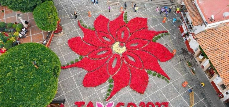 Inauguran la Flor Monumental de Nochebuena en Taxco
