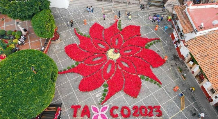 Inauguran la Flor Monumental de Nochebuena en Taxco
