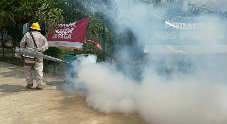 Descienden los casos de dengue en Guerrero