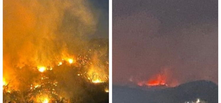 Reportan 4 incendios forestales activos en Acapulco y Chilpancingo