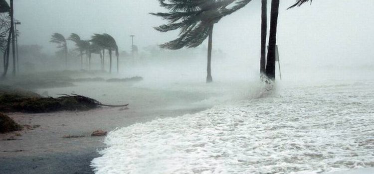 Esperan 4 a 5 huracanes similares a Otis en este año: Protección Civil