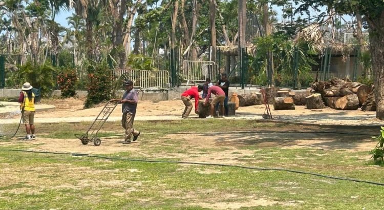 Comienzan los trabajos de reforestación del parque Papagayo Comienzan los trabajos de reforestación del parque Papagayo