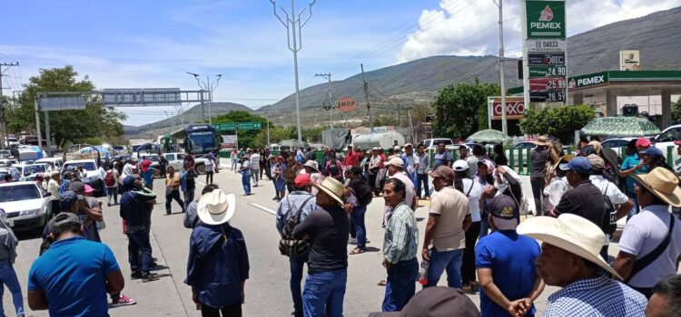 Manifestantes colapsan la Autopista del Sol