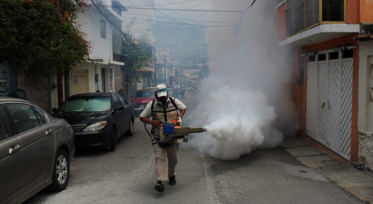 Refuerzan acciones contra el dengue