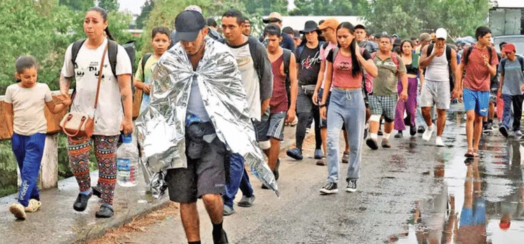 Estados fronterizos se preparan para posibles deportaciones masivas Estados fronterizos se preparan para posibles deportaciones masivas