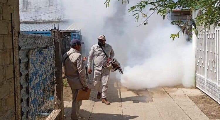 Reportan disminución del 90% del dengue en Guerrero Reportan disminución del 90% del dengue en Guerrero