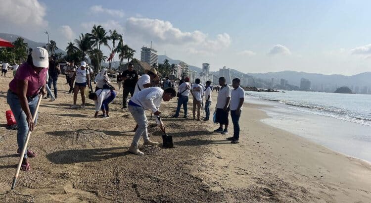 Realizan tercera jornada de limpieza en playas Realizan tercera jornada de limpieza en playas