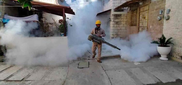 Guerrero es primer lugar en contagios de dengue
