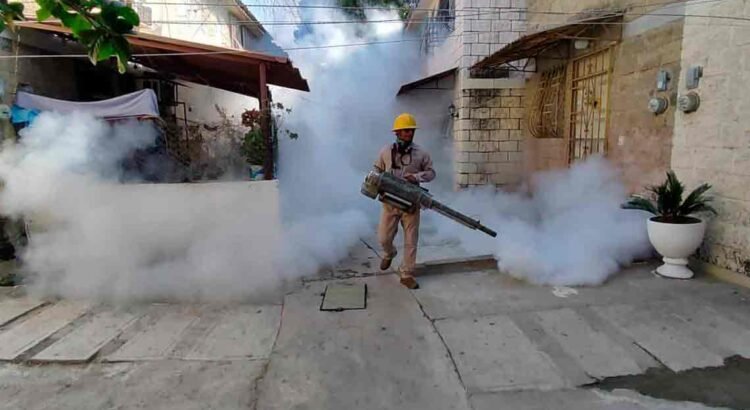 Guerrero es primer lugar en contagios de dengue