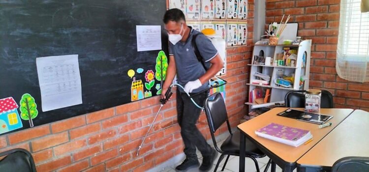 Reportan brote de chinches y garrapatas en escuelas