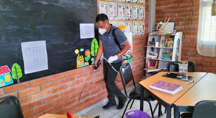 Reportan brote de chinches y garrapatas en escuelas Reportan brote de chinches y garrapatas en escuelas