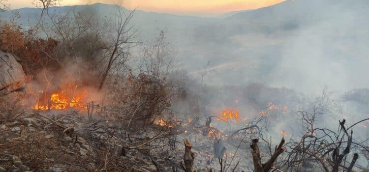 Permanece activo el incendio forestal en Iguala