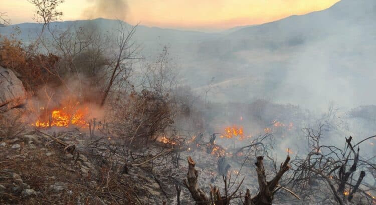 Permanece activo el incendio forestal en Iguala