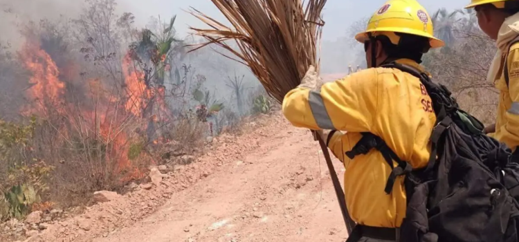 Se registran ocho incendios forestales en Guerrero