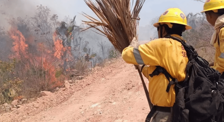 Se registran ocho incendios forestales en Guerrero