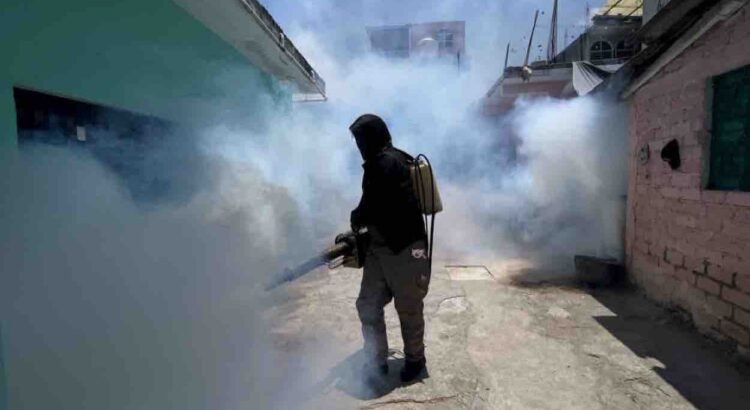 Guerrero es segundo lugar nacional en contagios de dengue