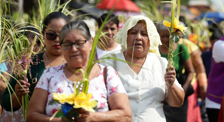 Celebran Domingo de Ramos Celebran Domingo de Ramos