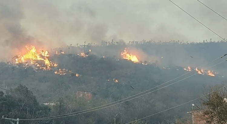 Por prender fuego a la basura, se quema todo un cerro Por prender fuego a la basura, se quema todo un cerro