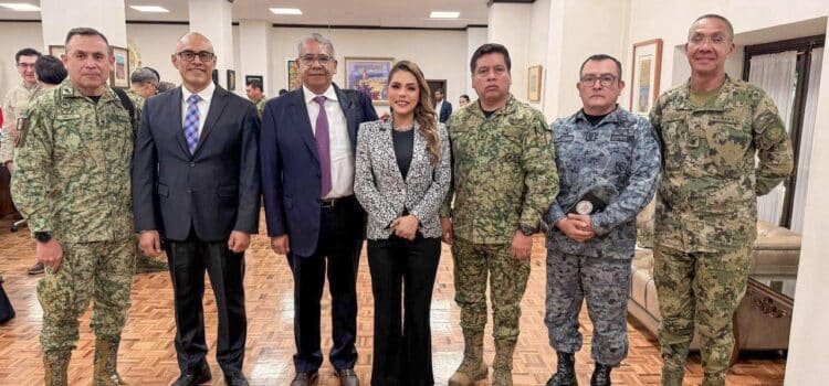 Buscan reforzar acciones de protección para Guerrero