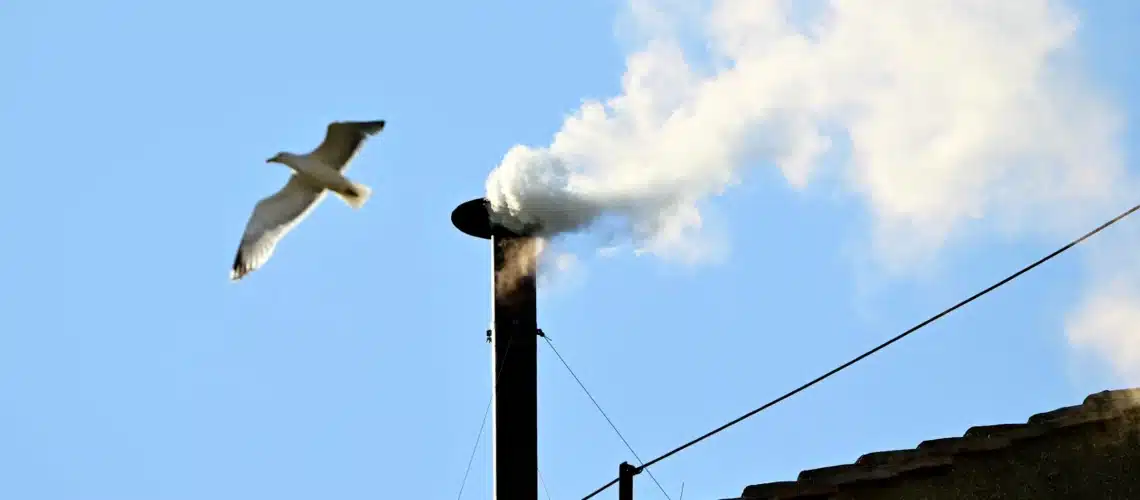 ¡Habemus papam! Revelan humo blanco en el Vaticano
