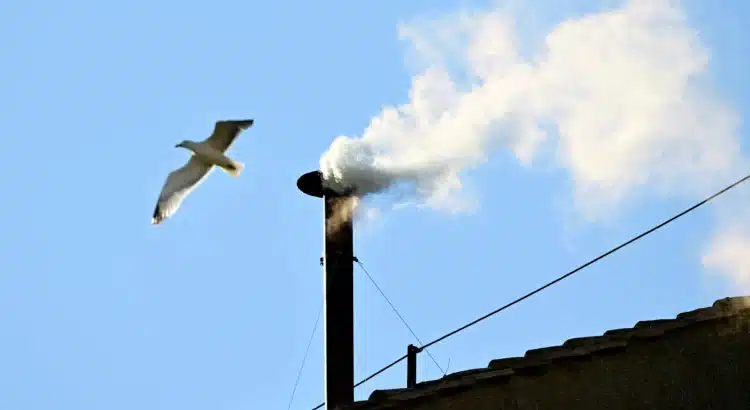 ¡Habemus papam! Revelan humo blanco en el Vaticano