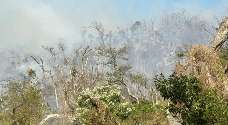 Se registra incendio forestal en la Chinameca Se registra incendio forestal en la Chinameca