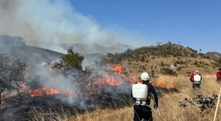Piden denunciar a quienes provoquen incendios forestales: Semaren Piden denunciar a quienes provoquen incendios forestales: Semaren