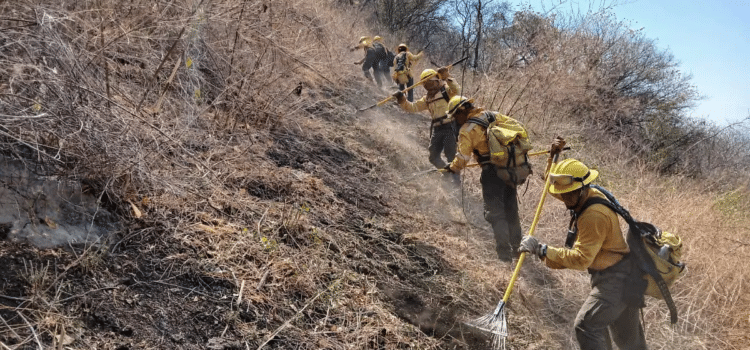 Logran controlar el incendio forestal cerca de Llanos de Tepoxtepec