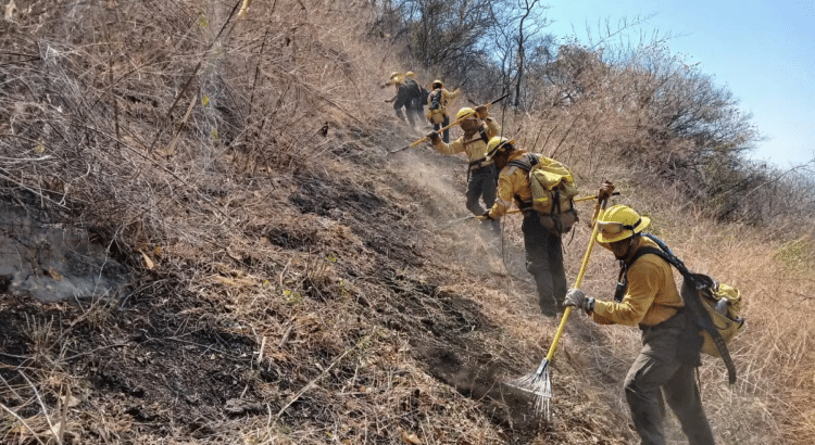Logran controlar el incendio forestal cerca de Llanos de Tepoxtepec Logran controlar el incendio forestal cerca de Llanos de Tepoxtepec