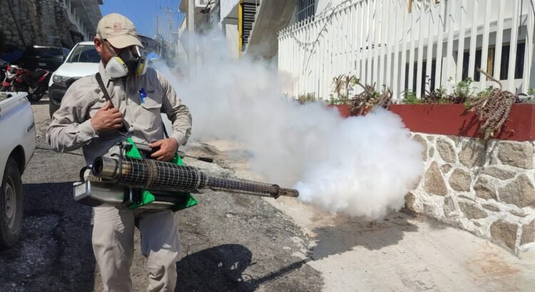 Alarma por nuevos casos de dengue