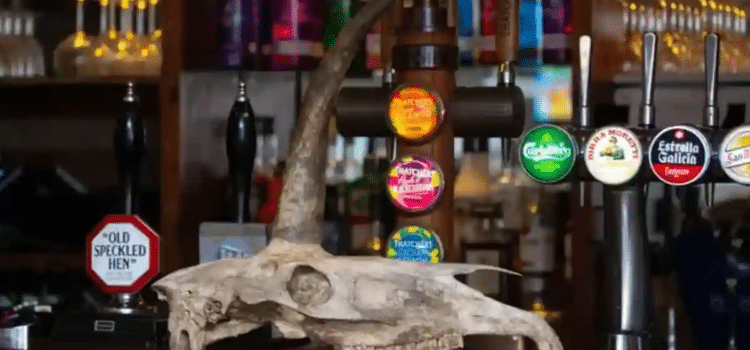 Encontró turista un “cráneo de unicornio”