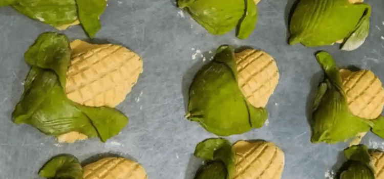 ¿Antojo? qué tal una conchaelote ¿Antojo? qué tal una conchaelote