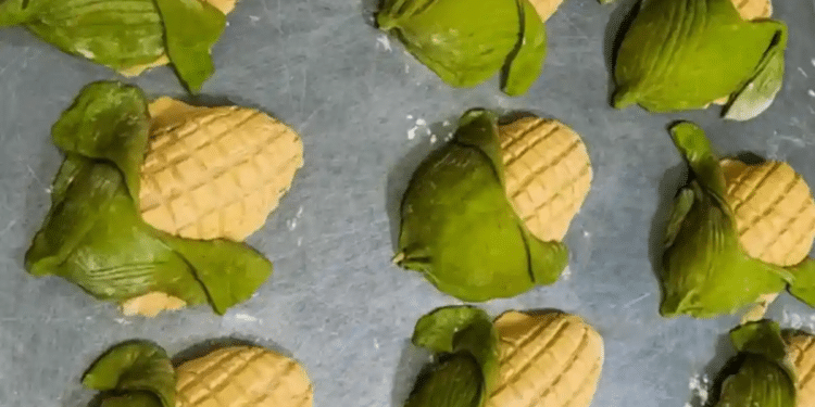 ¿Antojo? qué tal una conchaelote