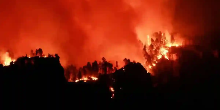 Crisis climática, “una amenaza urgente y existencial”: CIJ