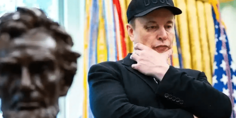 Lanza Musk su propio partido