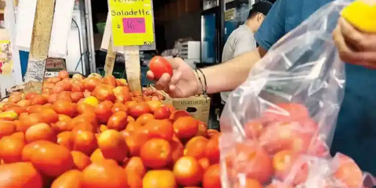 No hay país que pueda sustituir a México en la producción de tomate