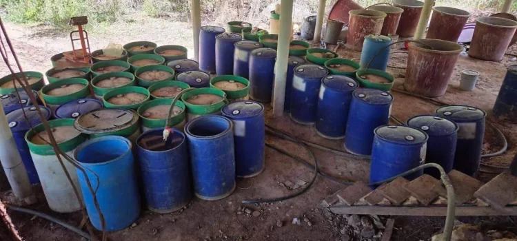 Aseguran más de 11 toneladas de precursores químicos