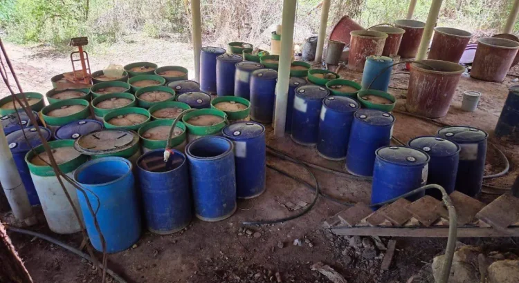Aseguran más de 11 toneladas de precursores químicos