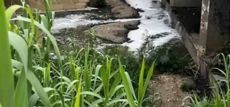 Descendió México en el Índice de Desempeño Ambiental 2024