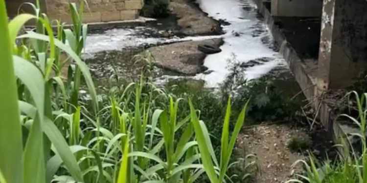 Descendió México en el Índice de Desempeño Ambiental 2024 Descendió México en el Índice de Desempeño Ambiental 2024