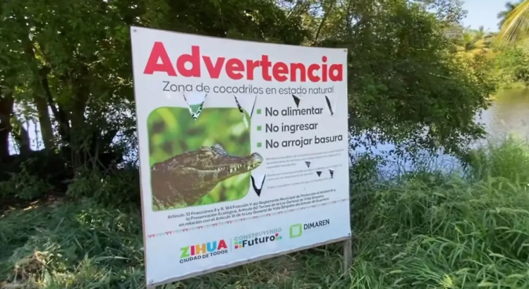 Instalan letreros de advertencia por presencia de cocodrilos en la laguna El Paraíso