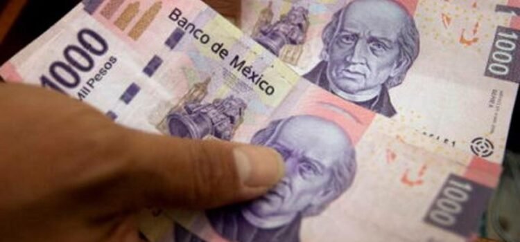 El Presupuesto de Egresos de la Federación atenta contra la soberanía alimentaria