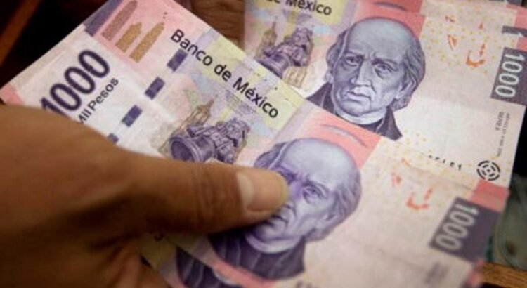 El Presupuesto de Egresos de la Federación atenta contra la soberanía alimentaria