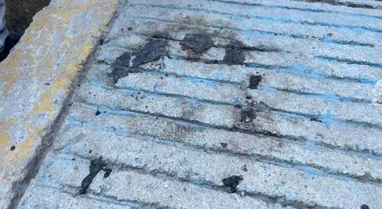 Cierran padres de familia kínder en Chilpancingo tras hallazgo de posibles indicios de santería Cierran padres de familia kínder en Chilpancingo tras hallazgo de posibles indicios de santería