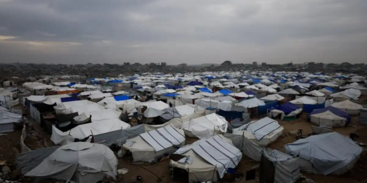 Prohíbe Israel el acceso de 14 ONG a Gaza