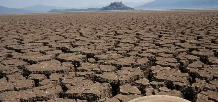 Reporta el SMN aumento en áreas con sequía